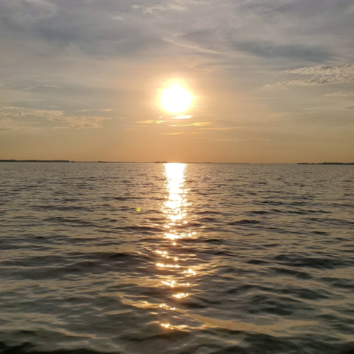 Merdi E. Caudill photo gallery thumbnail 10 of 10