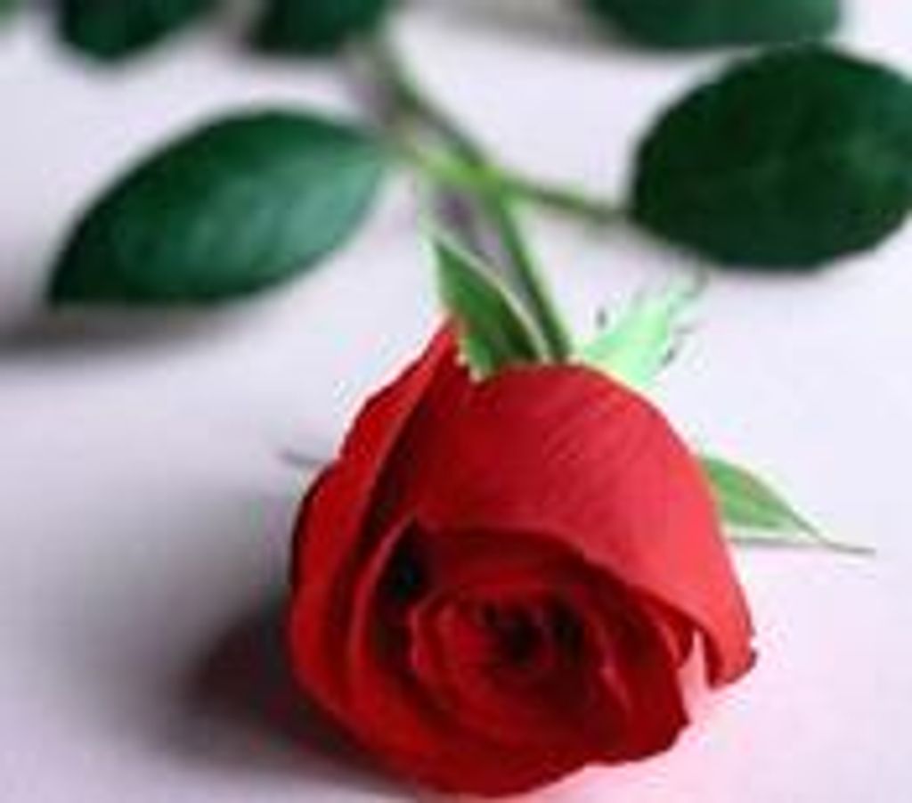 Buna Marie Manthey Profile Photo