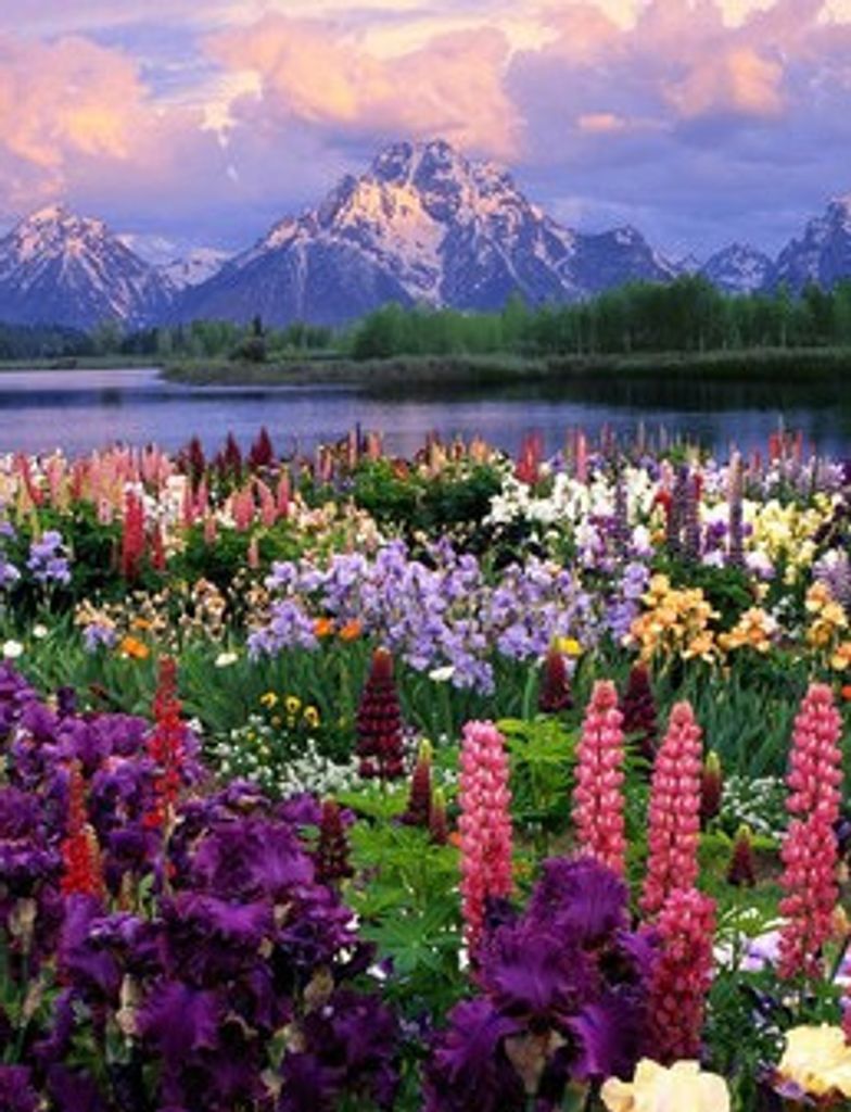 Nancy Anne Catlett Profile Photo