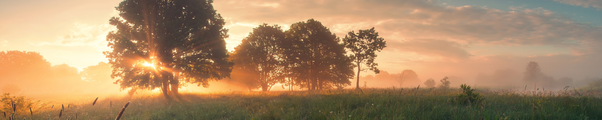 Cover for James "Jim" H. Racer's Obituary