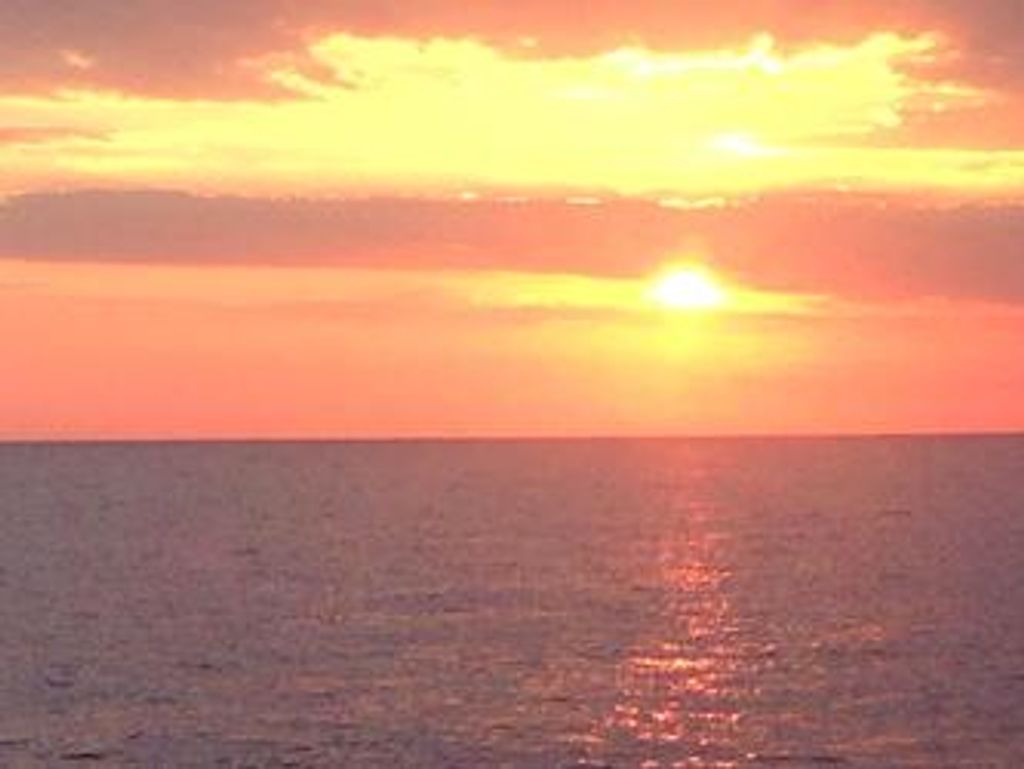 Ronald J Niedzwiecki