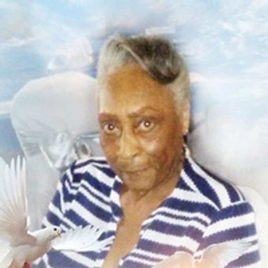 Jean Williams Profile Photo