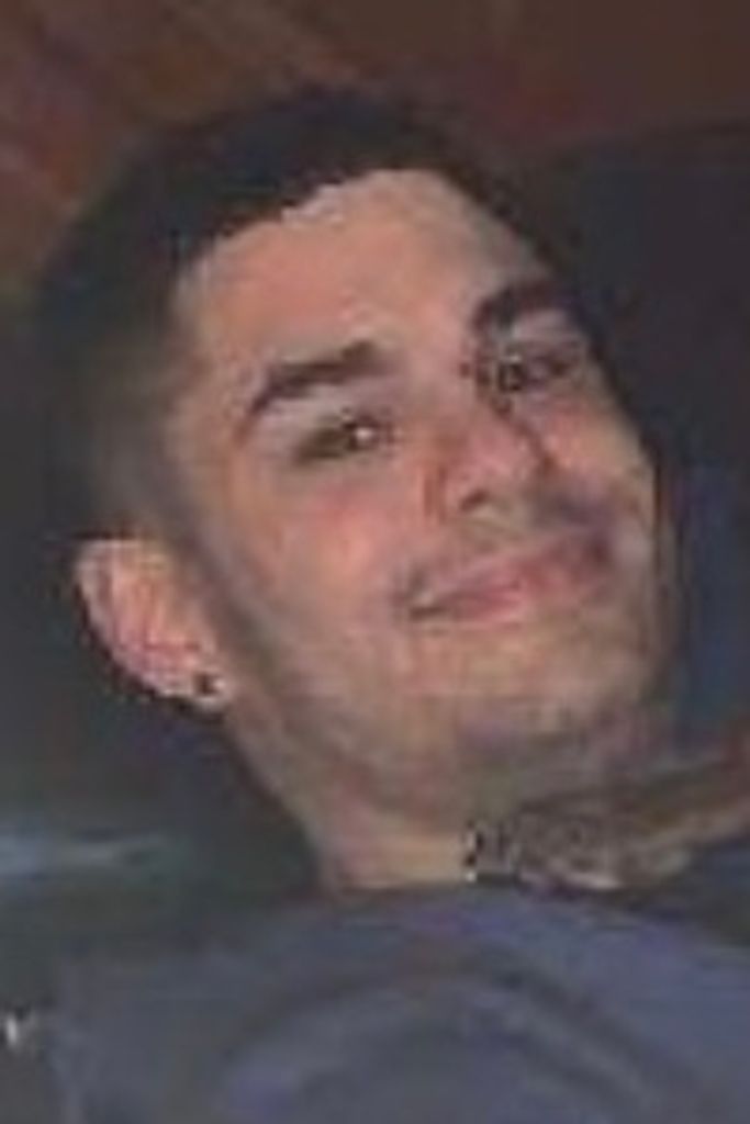 Jesse D. D'Amelio Profile Photo