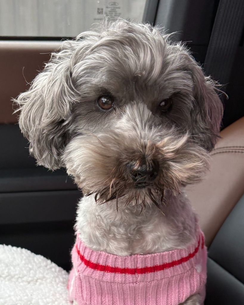 Maya 🖤 Profile Photo