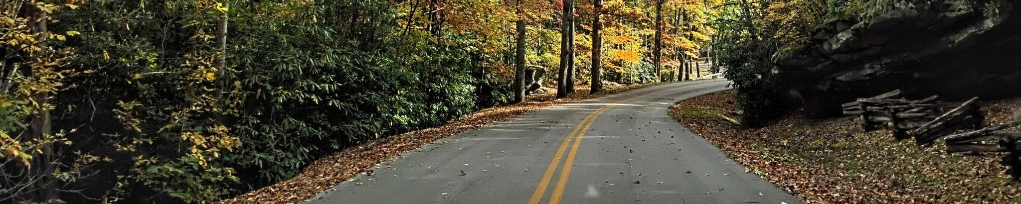 Cover for Jennifer Elaine McDaniels's Obituary