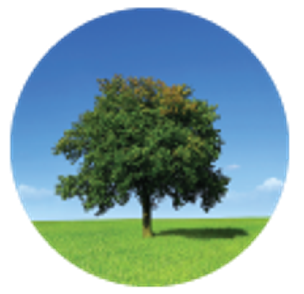 Ronald Graham Profile Photo