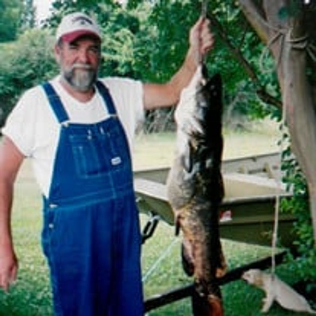 Dan H. Davis
