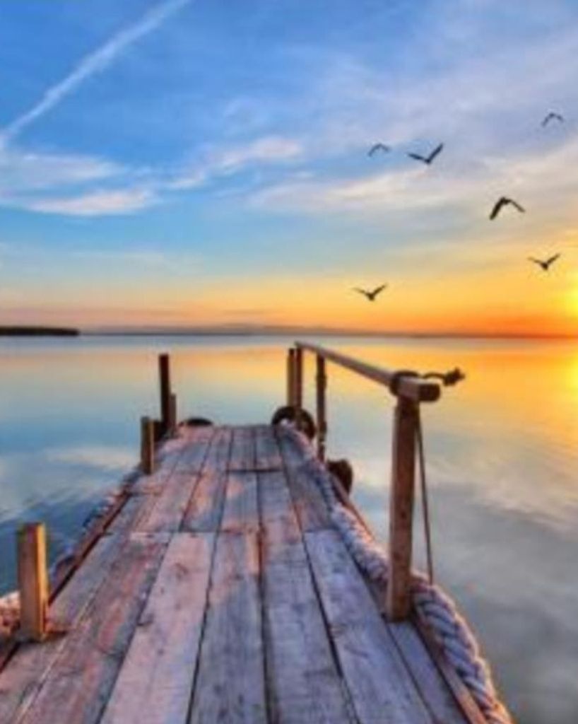 Randye June Hill Berryhill