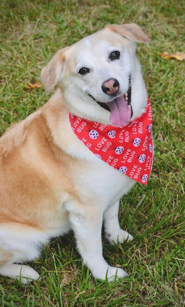 Sadie Mae Harris Lynn Moseley