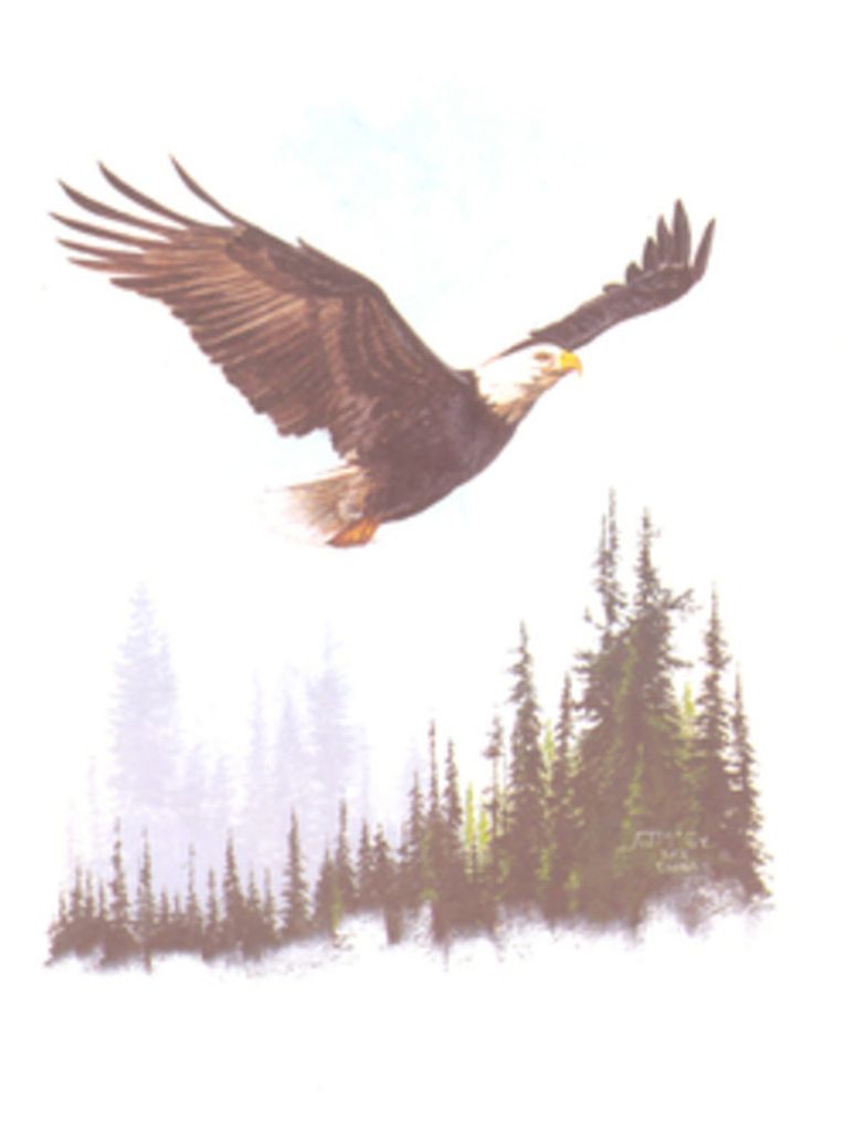 Dean Brian Chasing Hawk, Jr Profile Photo