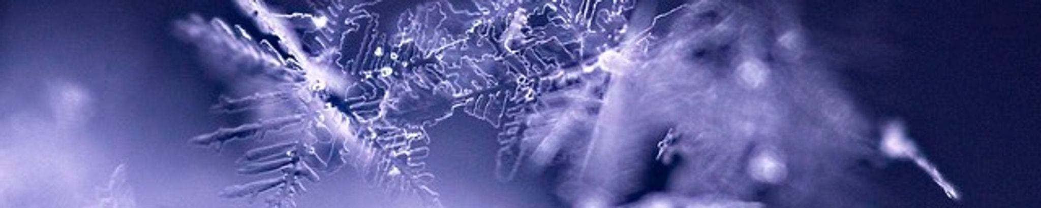 Cover for Helen McCarty's Obituary