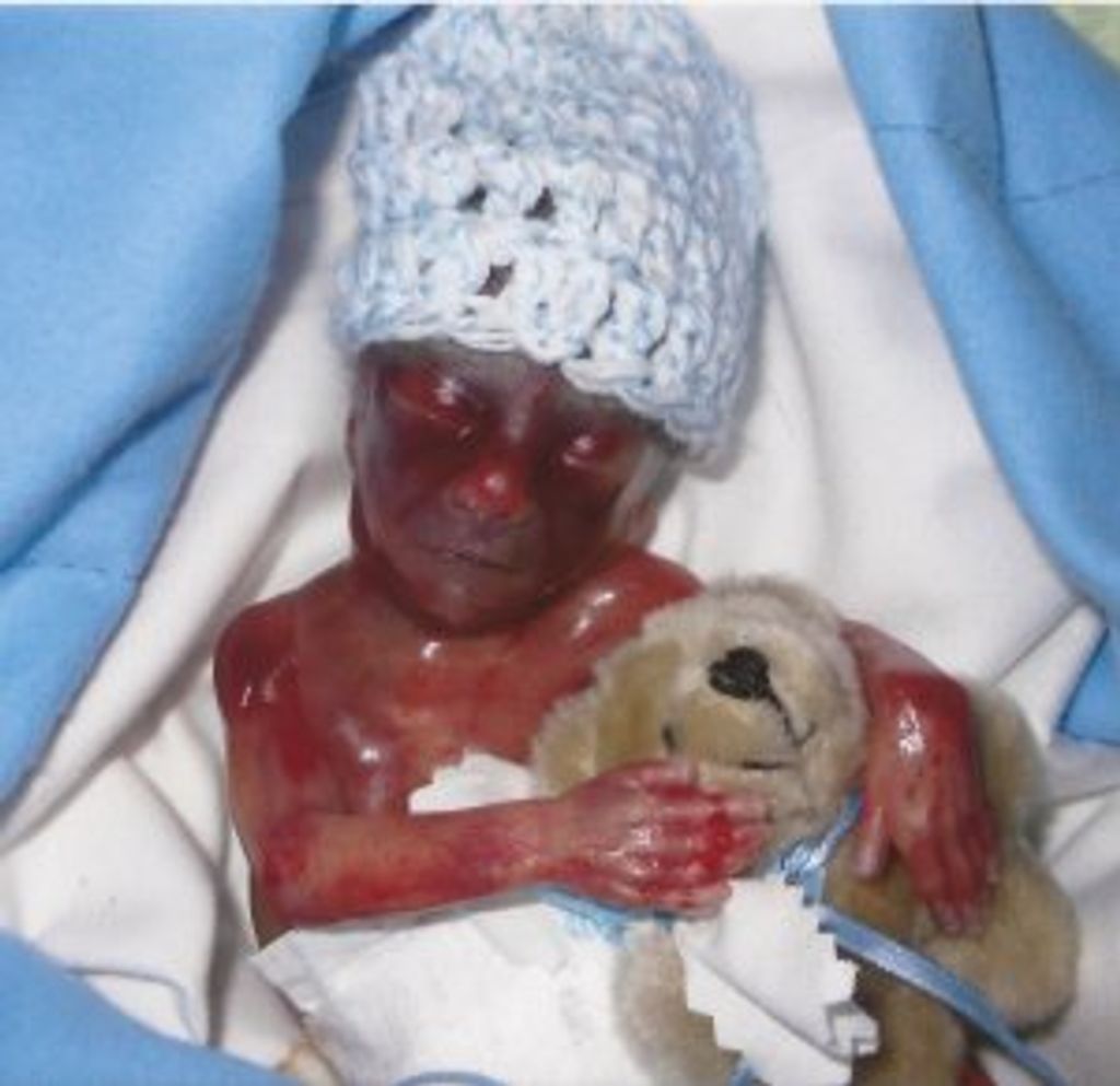 Derek Luis Velazquez