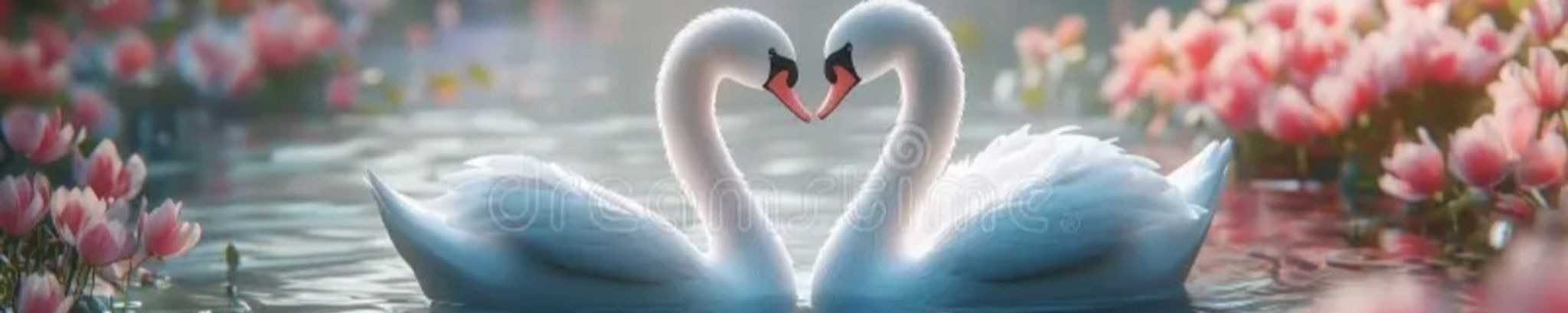 Cover photo for Angela Marie Swann's Obituary