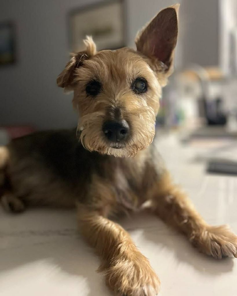 Bob Collard Profile Photo