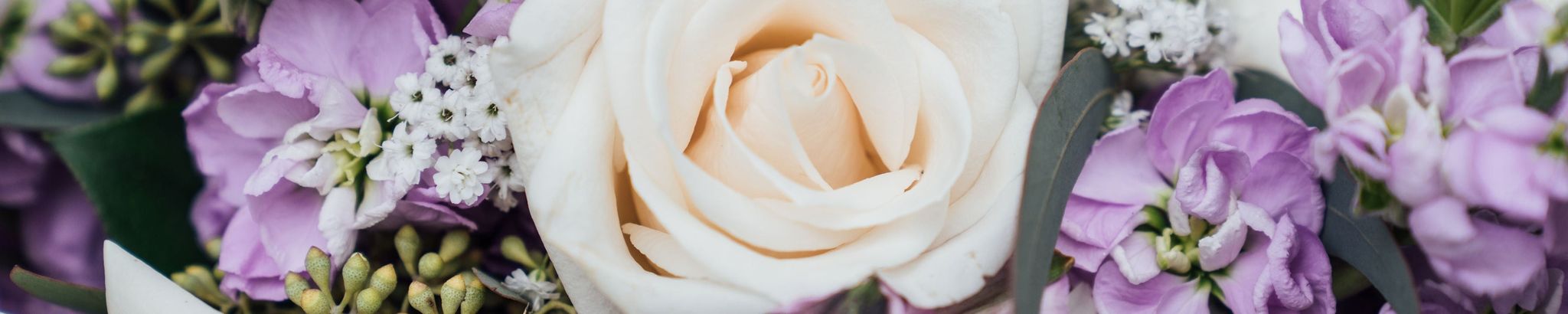 Cover photo for Constance Fredericka Malmstrom's Obituary