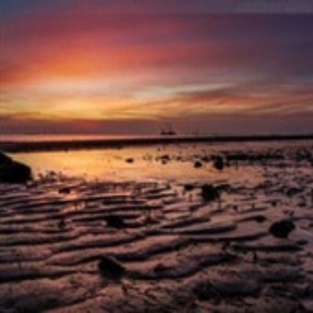 Thomas Mitchell Hammock