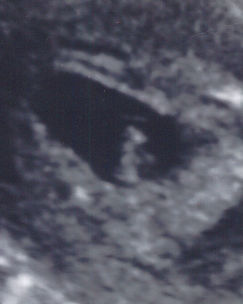 Snoopy Holliday Profile Photo