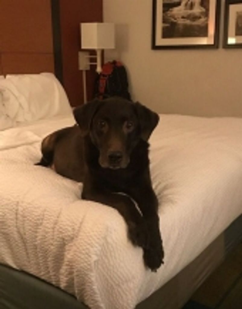Rocco Martin