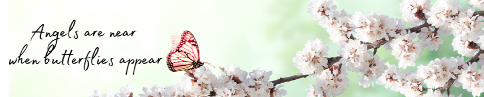 Cover photo for Heather Ann Kauble's Obituary