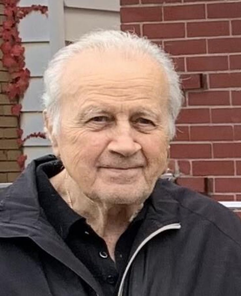 Rino N Palombo Profile Photo