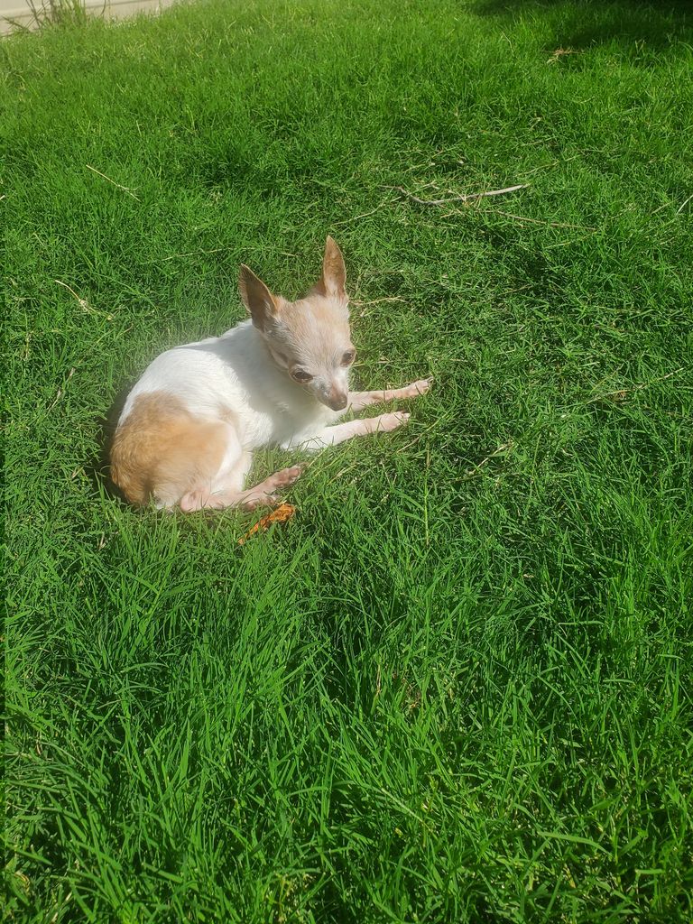 Little Man Profile Photo