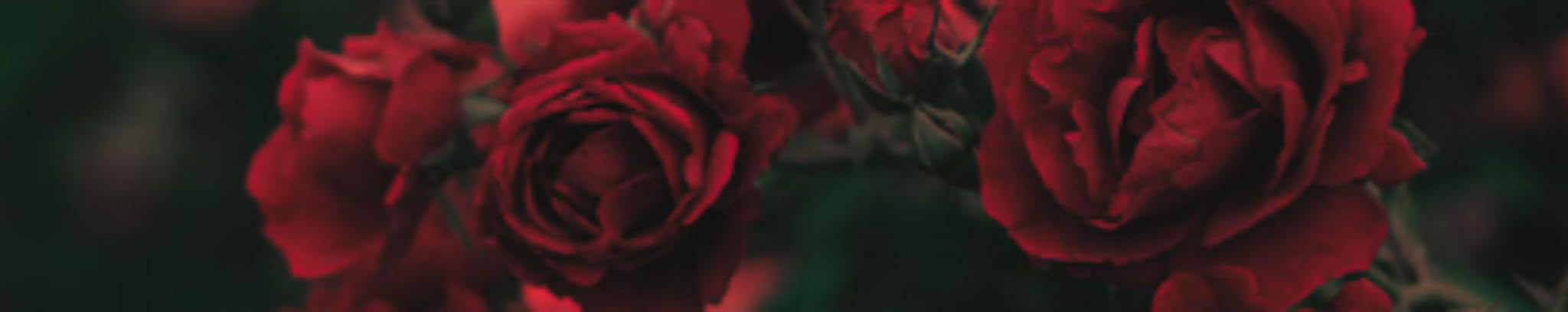 Cover photo for Kacie B. Ranes's Obituary