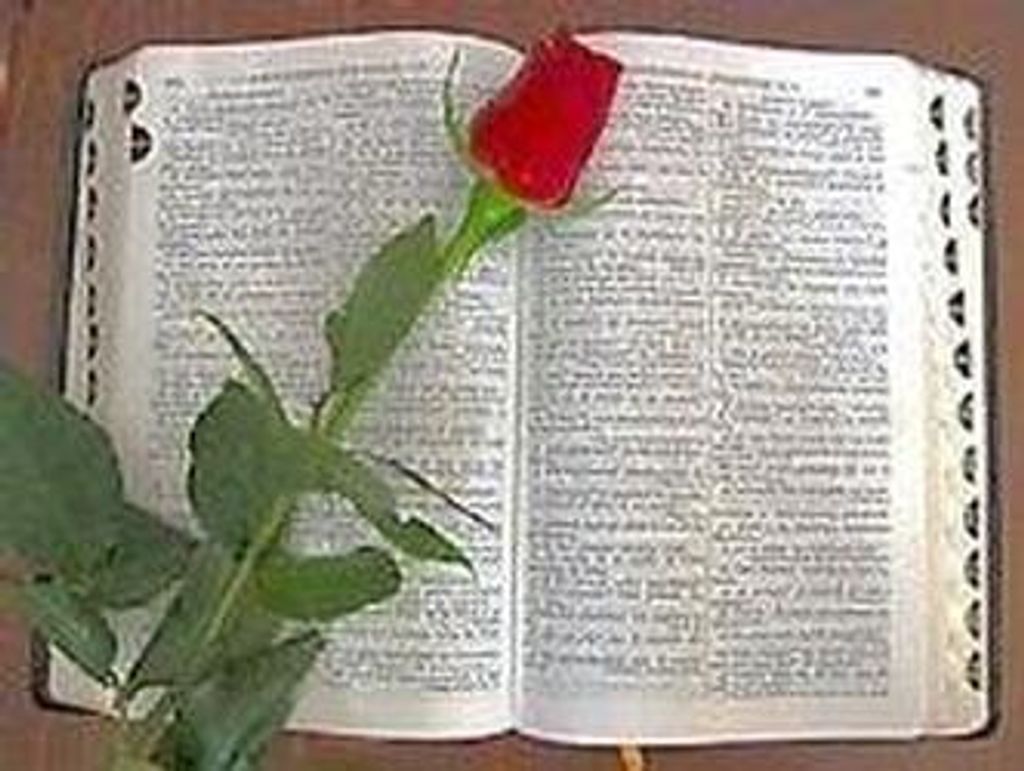 Lois Nadine Chisholm Profile Photo