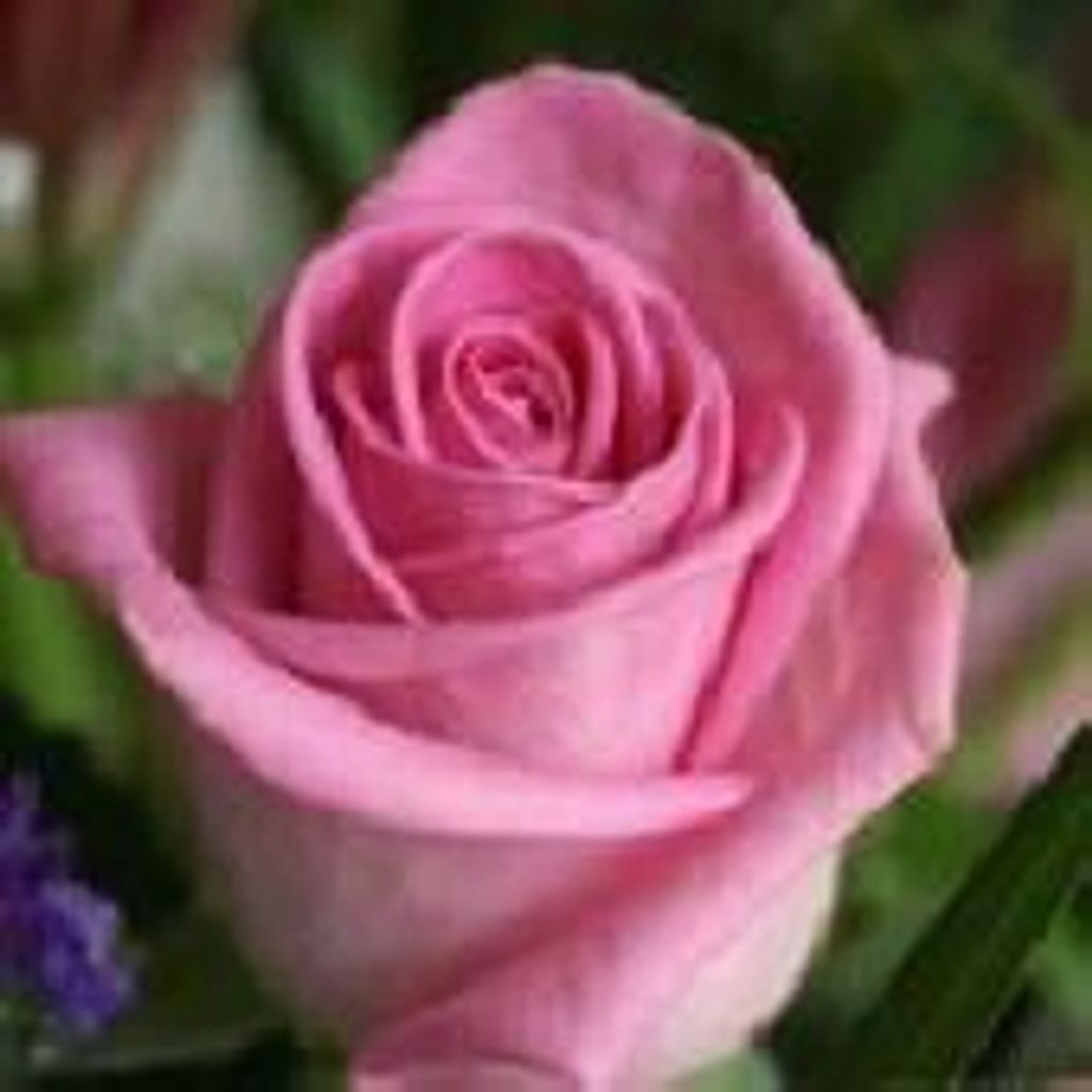 Willie Ethel (Pace) Owens