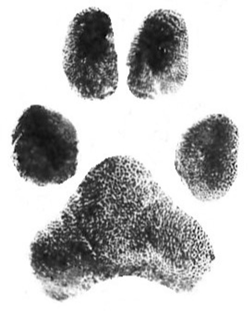 Oscar Horton