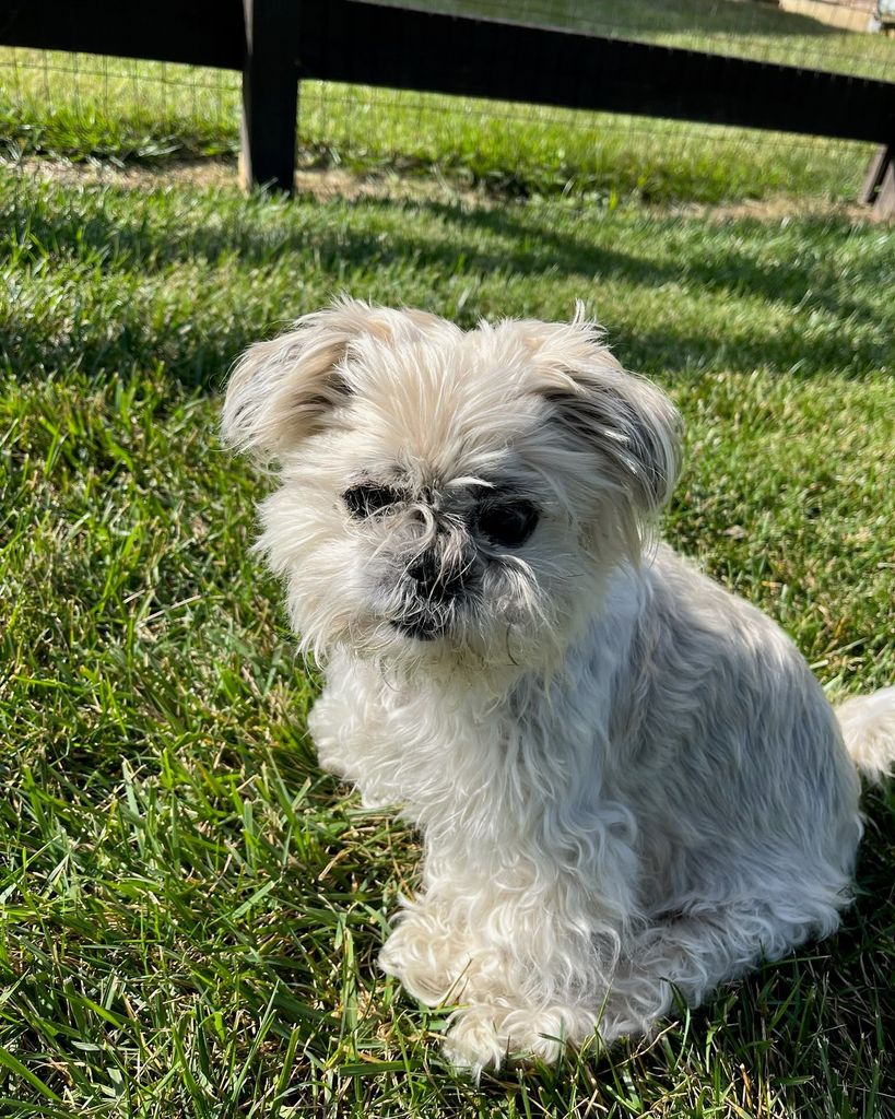 Lexi Vice Profile Photo
