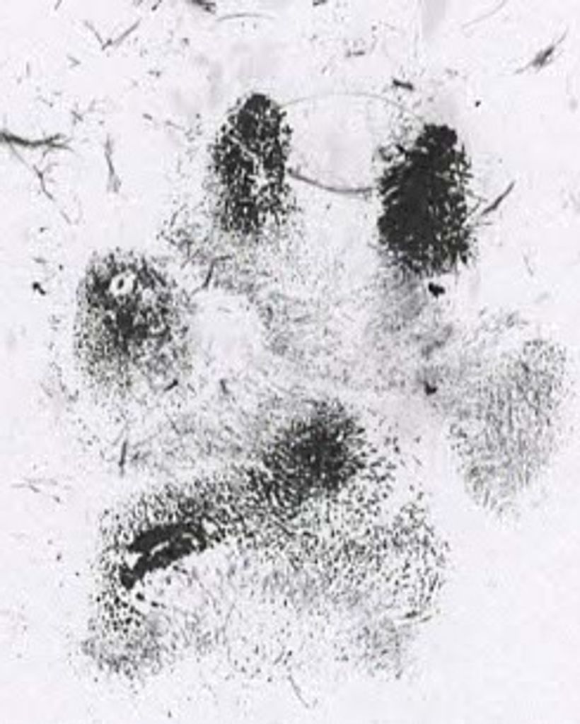 Rosie Caldwell Profile Photo