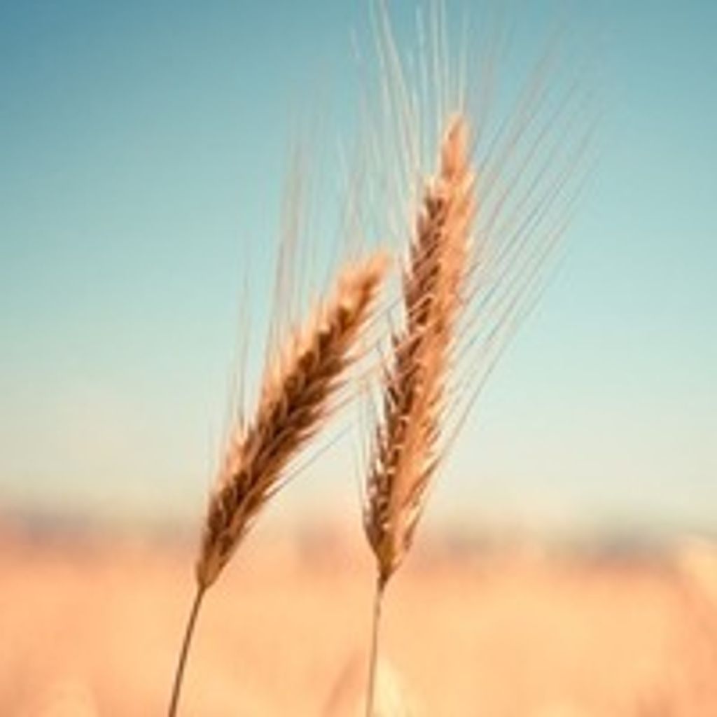 Phillip 'Phil' Charles Brewster