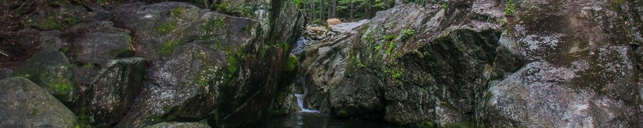 Cover photo for Joanna B. Melone's Obituary