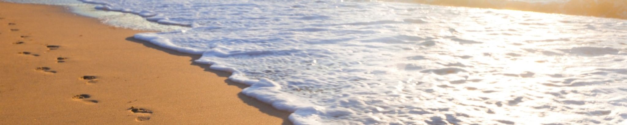 Cover photo for Jayne Darling's Obituary
