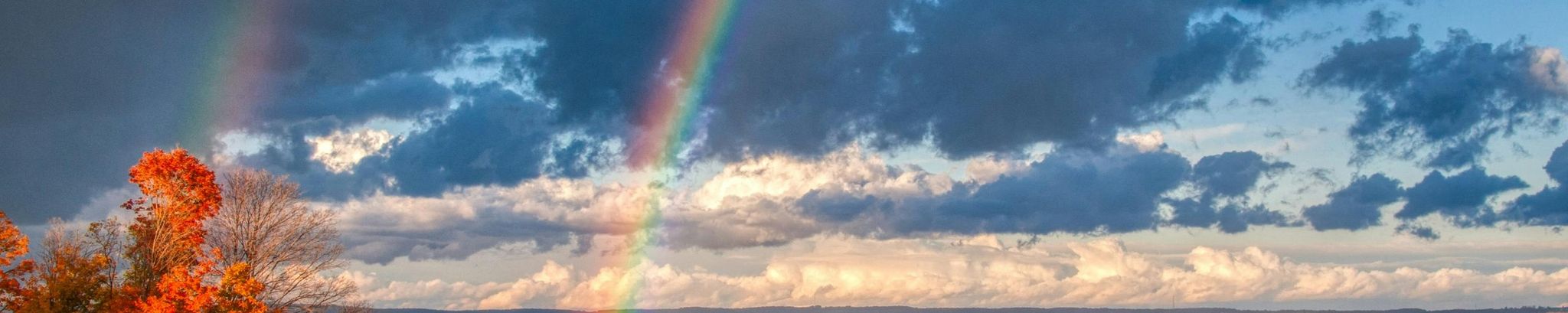 Cover for Donna Mae Lehtio's Obituary