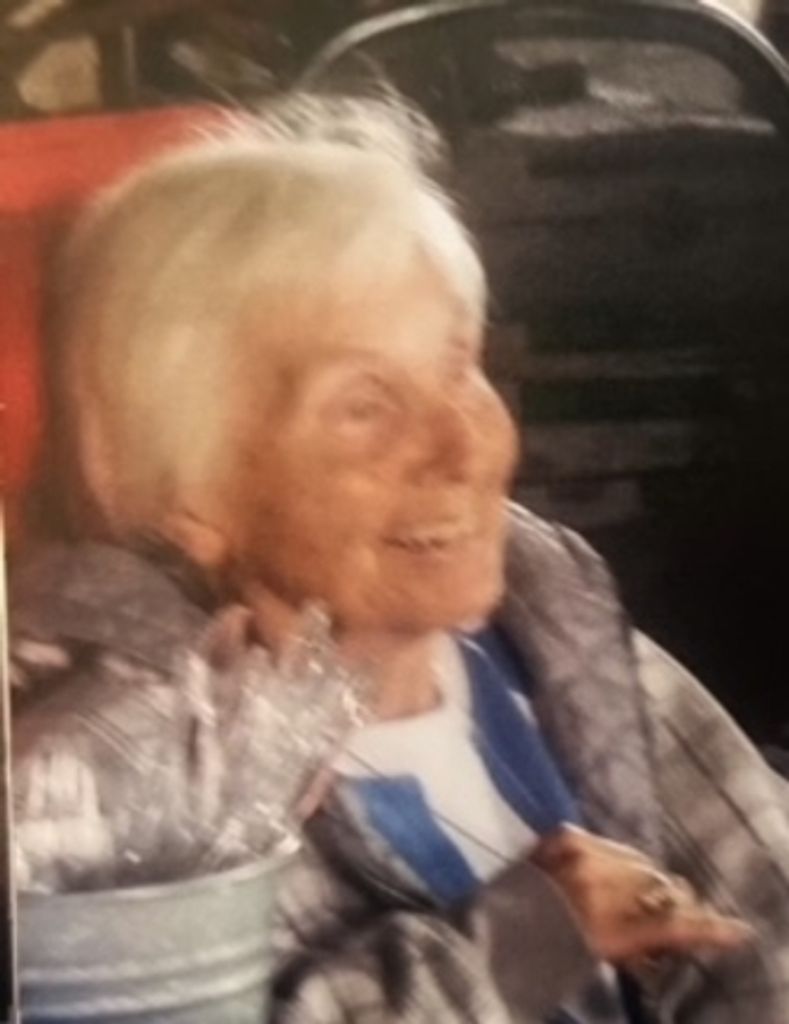 Ann  Farley Combs Peel Profile Photo