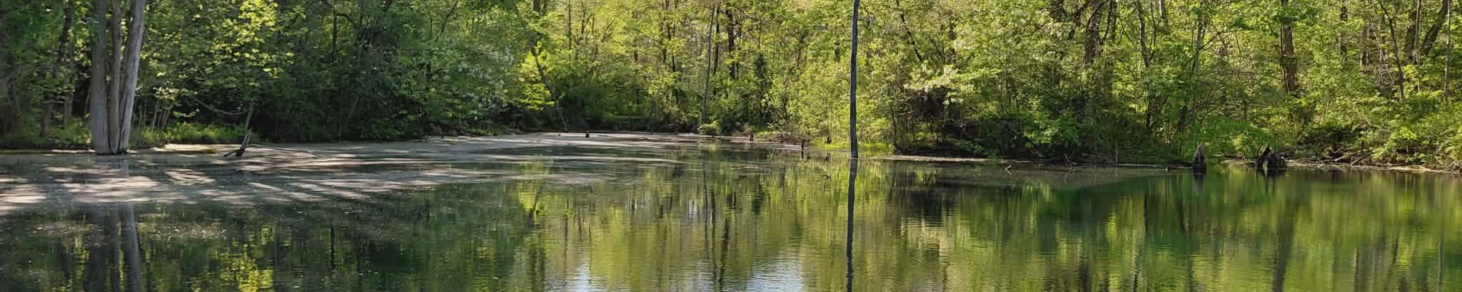 Cover for Stacy Webber's Obituary