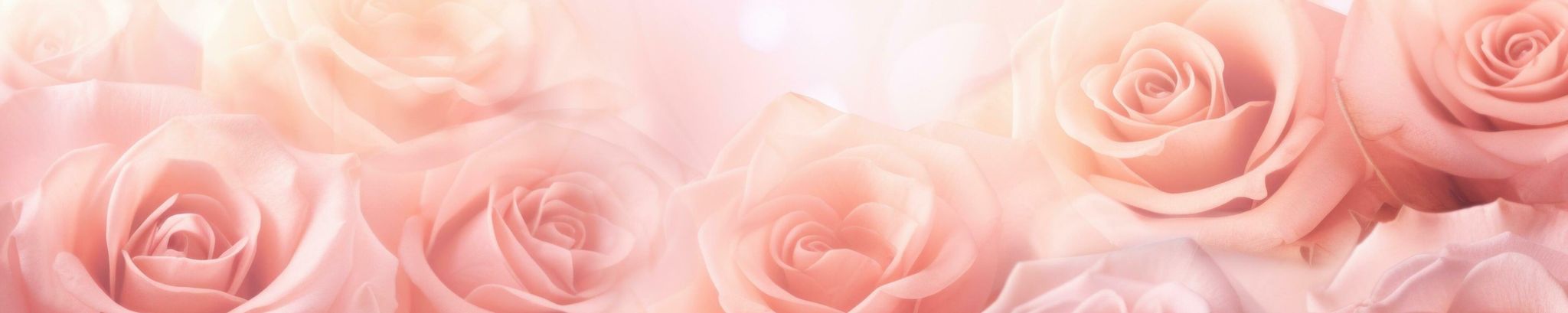Cover photo for Ema G. Villalobos's Obituary