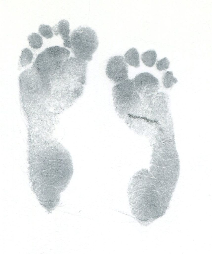Brisa Faith Curtis