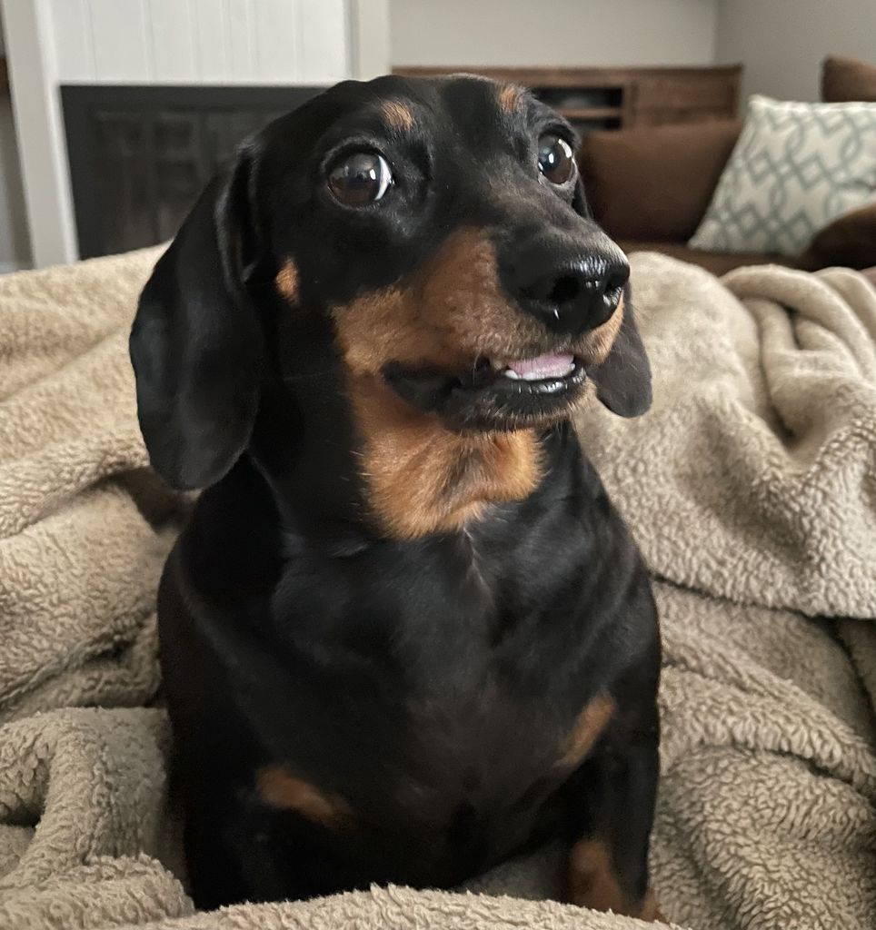 Nyx Profile Photo