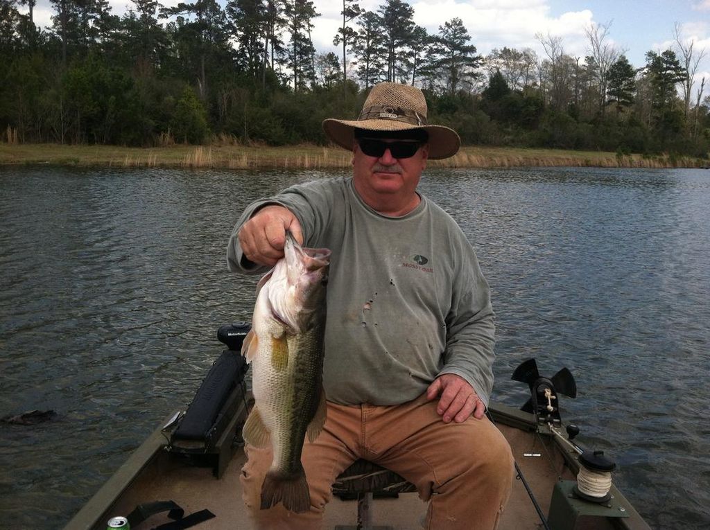 Terry Farris Profile Photo