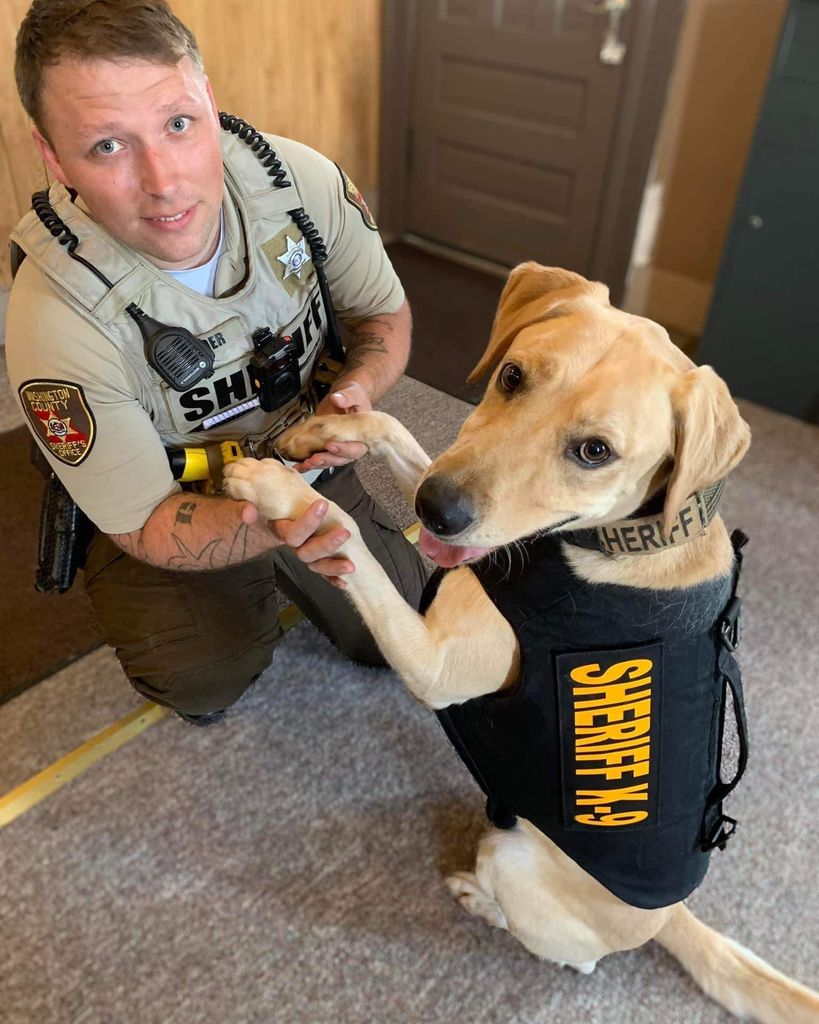 K-9 Deputy Finn Winder Profile Photo