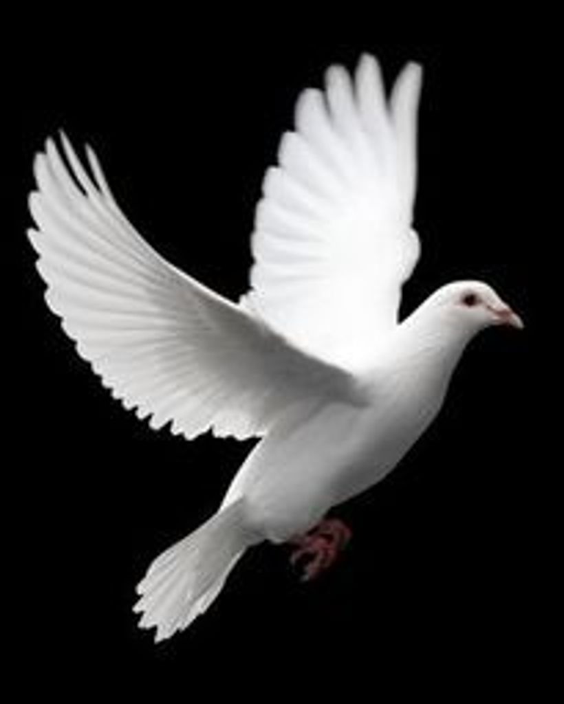 Larry Steven Moye Profile Photo