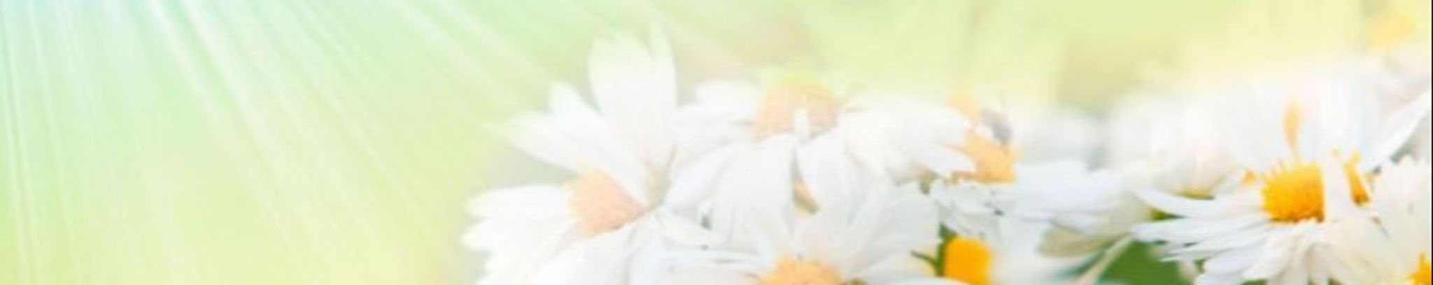 Cover photo for Dolores "Lola" Lucero Garcia's Obituary