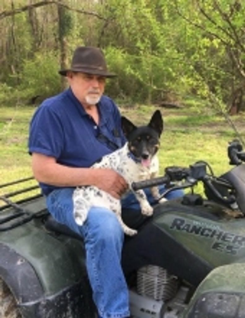 James Harvey Blizzard Profile Photo