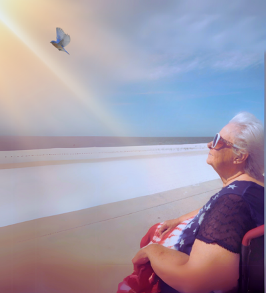 Shirley Ann Woods Horton Profile Photo