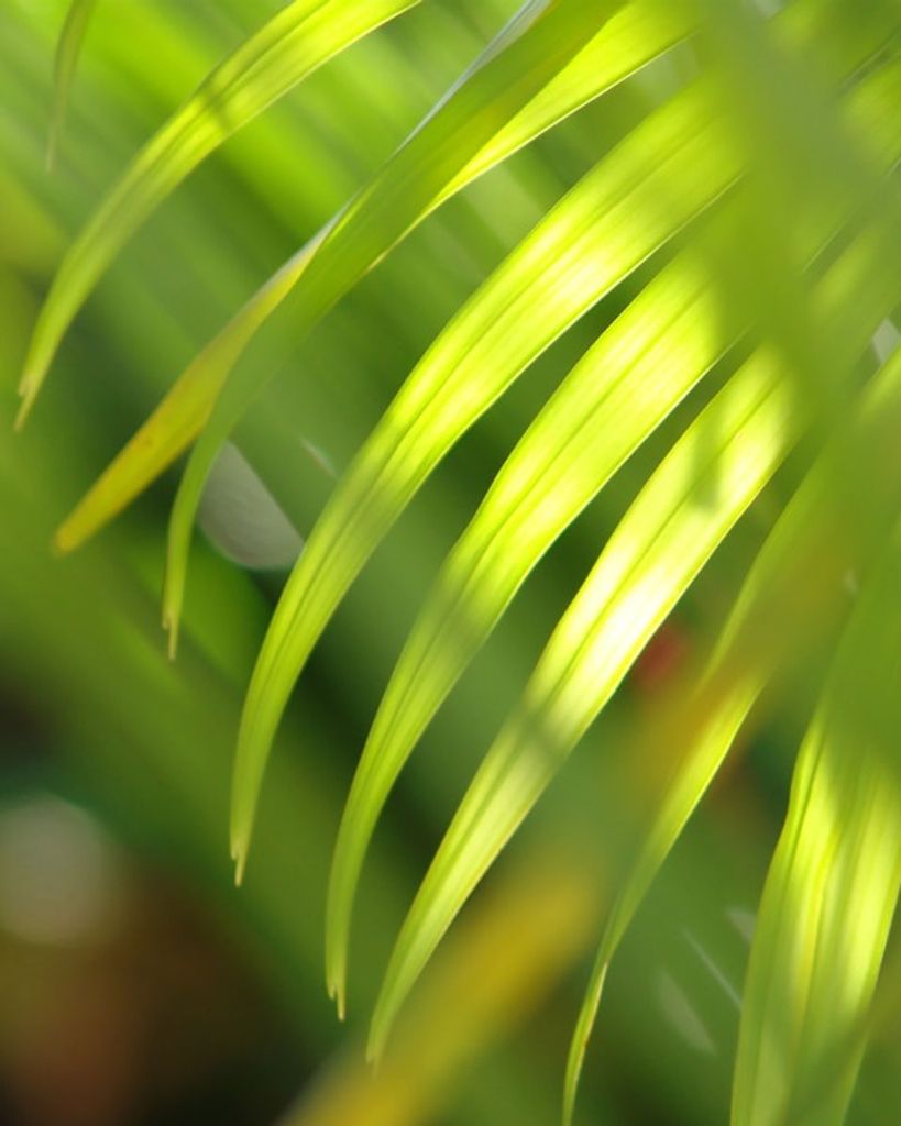 Area Resident (Anonymous) Profile Photo