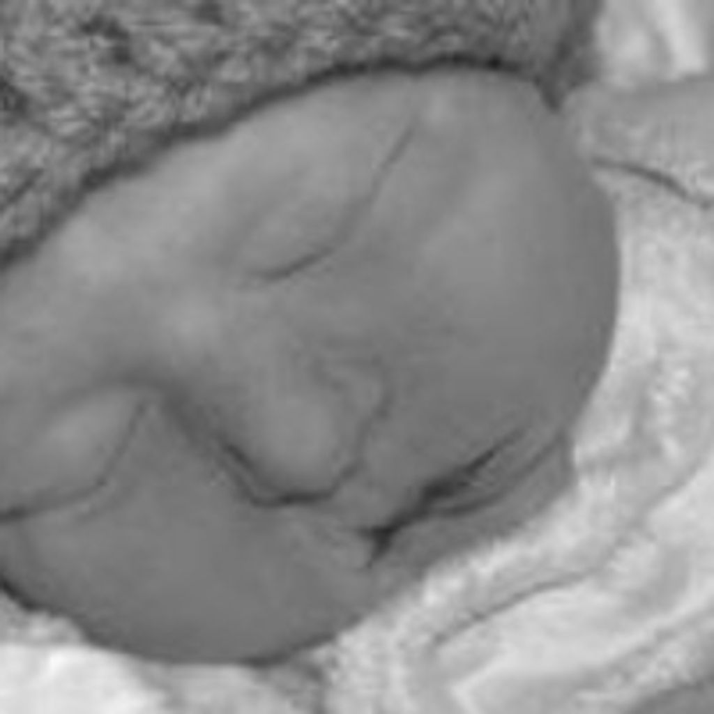 Kaiden Isaac Millsaps Profile Photo