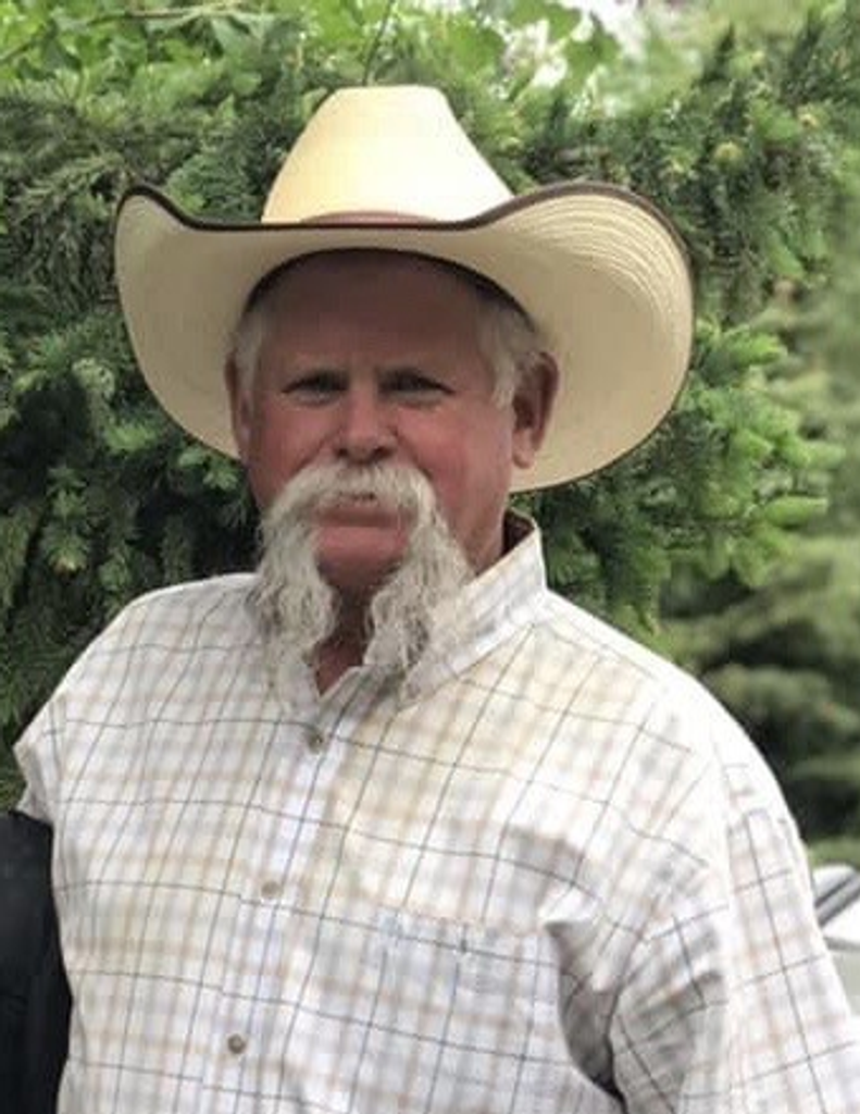 Dennis Michael Miserany Sr. Profile Photo