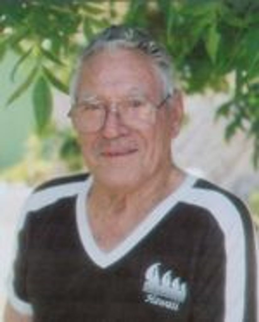 Leroy Carl Johnstone